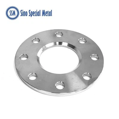 ASME SA105 ASTM A105 탄소강 지지 플랜지