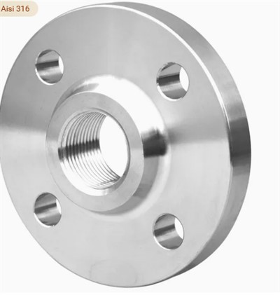 304 316 316L AISI 150 RF FM BSP NPT 나사산 나사 플랜지